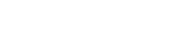 Presidents Institute