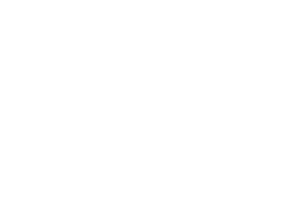 Søstrene Grene